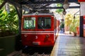 Red Brazilian Train Best Jungle, Tijuca Rio de Janeiro Royalty Free Stock Photo