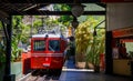 Red Brazilian Train Best Jungle, Tijuca Rio de Janeiro Royalty Free Stock Photo