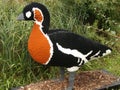 Red Breasted Goose made of Lego Bricks