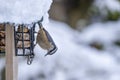 A Red-breasted Nuthatch Eating at the Suet Feeder in a Backyard Garden #2 Royalty Free Stock Photo