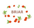 The red briar Royalty Free Stock Photo