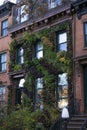 Red brick apartment building wall of brownstone covered by green ivy in Brooklyn, NY Royalty Free Stock Photo