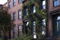 Red brick apartment building wall of brownstone covered by green ivy in Brooklyn, NY Royalty Free Stock Photo