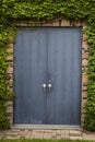 Red brick building covered with ivy Royalty Free Stock Photo