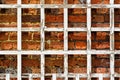 Red brick garden wall with white wooden grating Royalty Free Stock Photo