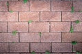 red brick with grass Royalty Free Stock Photo