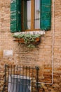 Close-ups of building facades in Venice, Italy. Red brick house wall texture. Wooden window with green shutters and a Royalty Free Stock Photo