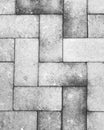 Red brick pavement and floor : black and white shot