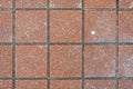 Red brick paving stones on a sidewalk Royalty Free Stock Photo