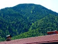 Red brick roof with 2 fireplaces in front of mountainside with lots of greenery