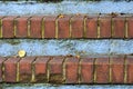 Red Brick Steps with Leaves