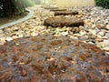 Red brick stone footpath step low angle view on small rock in the garden. Royalty Free Stock Photo