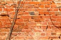 Red brick texture. Old brick wall background. Royalty Free Stock Photo