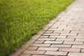 Red Brick Walkway Royalty Free Stock Photo