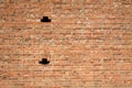 Red brick wall