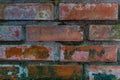 Red brick wall covered with green moss. Brick vintage background Royalty Free Stock Photo