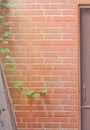 Red brick wall in front of the entrance to the door, Royalty Free Stock Photo