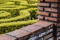 Red brick wall and green garden background abstraction contrast