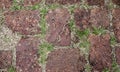 Red brick wall with moss texture background. Old road paved with the cobblestones or concrete brick. Pavement pattern. Green life Royalty Free Stock Photo