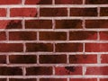 red brick wall natural industrial house chimney bricks alley design home spray Royalty Free Stock Photo