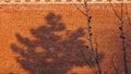On a red brick wall of an old house, a shadow fell from a ray of sunlight at sunset. Royalty Free Stock Photo