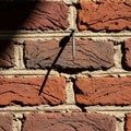 A single nail protrudes from one brick casting a distinct shadow Royalty Free Stock Photo