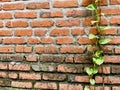 Red brick wall with a rustic appearance, featuring uneven brick arrangement and weathered texture Royalty Free Stock Photo