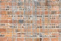 Red brick wall at square format as background and texture