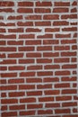 Red brick wall with white cement lines Royalty Free Stock Photo