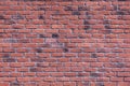 Red brick wall, wide range Royalty Free Stock Photo