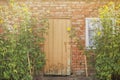 Red brick wall and wooden door Royalty Free Stock Photo