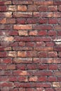 Red brick wall with yellow splinters Royalty Free Stock Photo