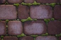 Red bricks wall with moss for background