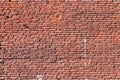 Red bricks wall texture. Royalty Free Stock Photo