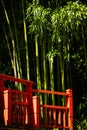 Red bridge and bamboo Royalty Free Stock Photo