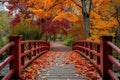 A red bridge gracefully arches over a flowing stream, while vibrant fall leaves create a colorful backdrop, Autumn scenery to Royalty Free Stock Photo