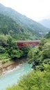 Red bridge and green river in Iya valley in Japan