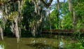 Red Bridge over water, with moss covered trees. Charleston, SC. Royalty Free Stock Photo