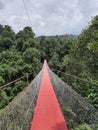 Red bridge in the jungle at sukabumi wst java Royalty Free Stock Photo