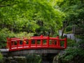 Red bridge in Kashima Royalty Free Stock Photo