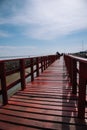 Red bridge through the mangrove forest. Sea view