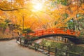 Red bridge in maple forest colorful autumn in Japan