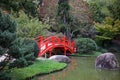 Red bridge over a pond in a beautiful Japanese Garden Royalty Free Stock Photo