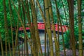 Distant bridge hidden by bamboo Royalty Free Stock Photo