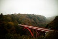 A red bridge stretching across a Japanese valley covered in Autumnal colours Royalty Free Stock Photo
