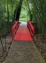 Red bridge on the trail