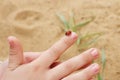 Red bright ladybug sits on finger on little girl