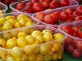 red and bright yellow cherry tomatoes on display at vegetable and fruit market Royalty Free Stock Photo