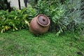 Red brown clay jug in the green garden park Royalty Free Stock Photo