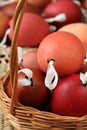 Red and brown Easter egg shells Royalty Free Stock Photo